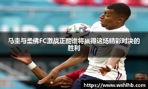 马圭与柔佛FC激战正酣谁将赢得这场精彩对决的胜利